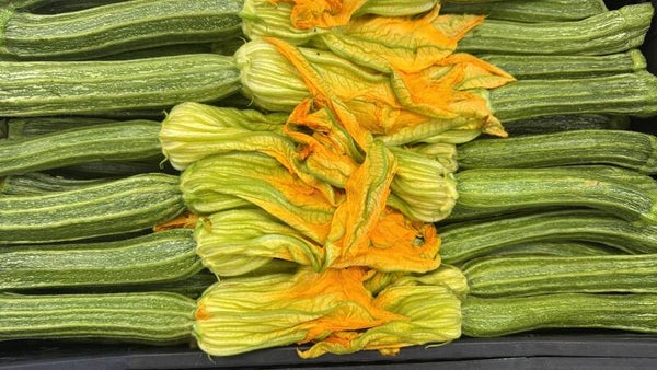 ZUCCHINA ROMANESCA