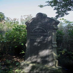 810c2d46-4d9f-4d3d-b79a-de2ca0024165.jpeg
