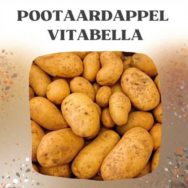 Biologische Pootaardappel Vitabella