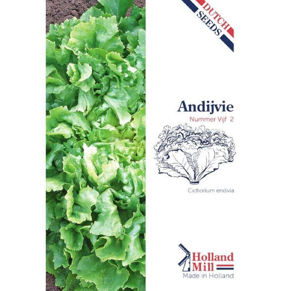 Holland Mill Andijvie Nummer 5