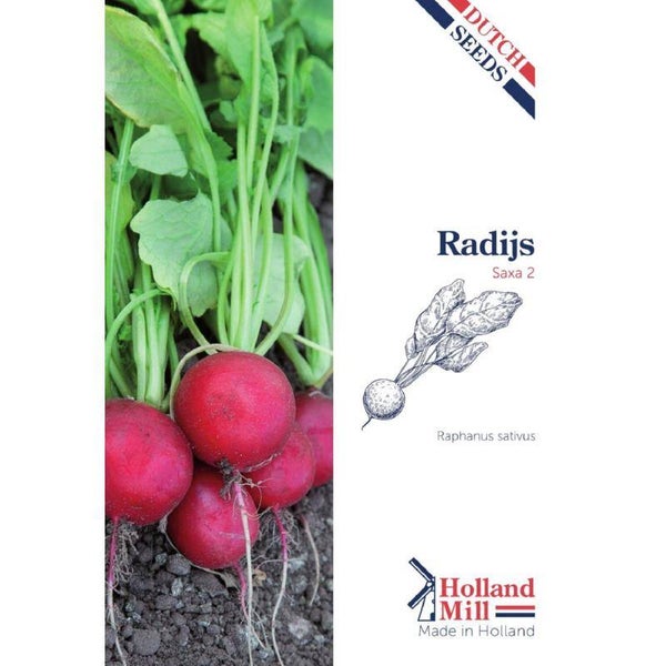 Holland Mill Radijs Saxa