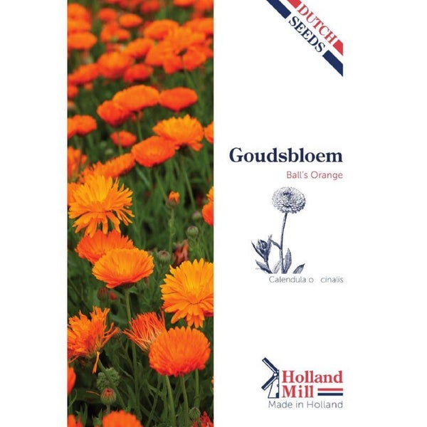 Holland Mill Calendula (Goudsbloem)