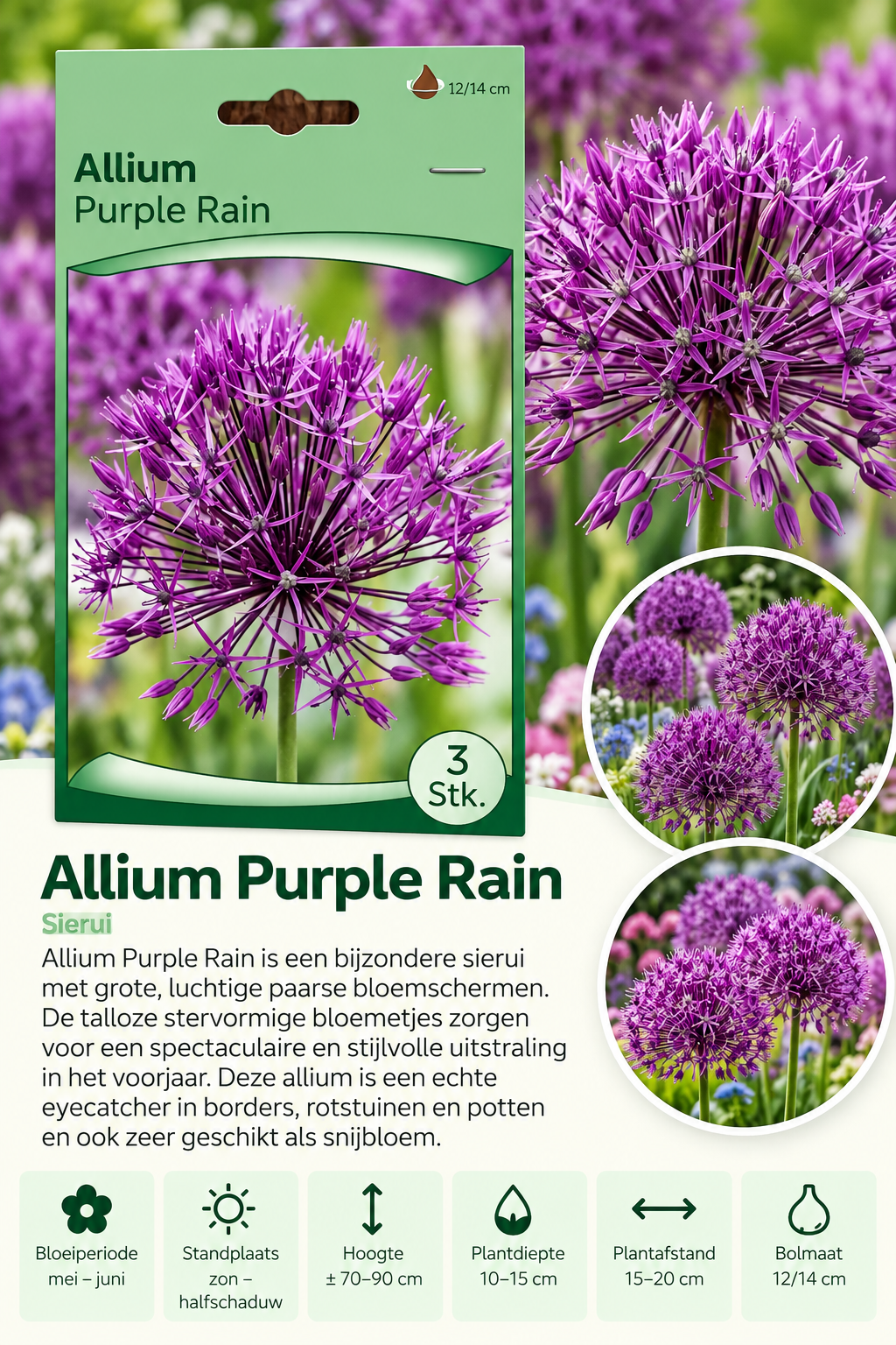 Sierui Purple Rain