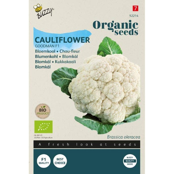 Buzzy® Organic Bloemkool ‘Goodman’ F1 – Brassica oleracea – Productcode 92214