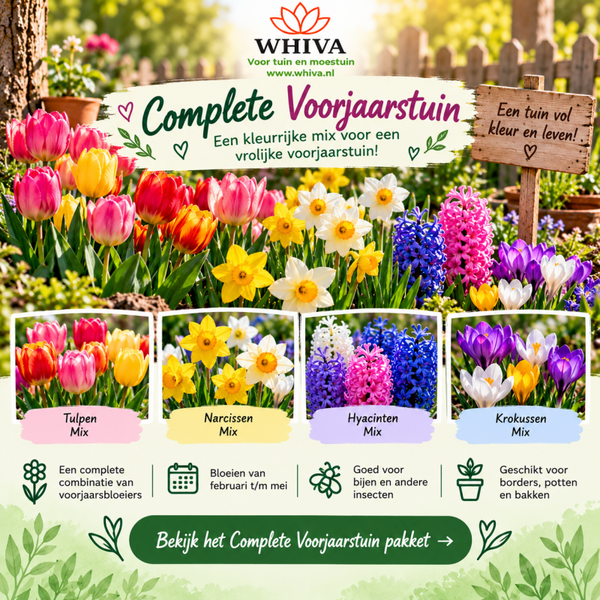 Complete voorjaarstuin