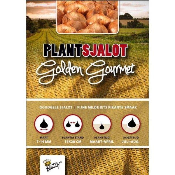 Plantsjalot Golden Gourmet