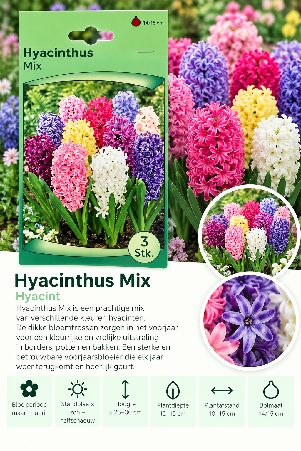 Hyacint Mix – 3 stuks