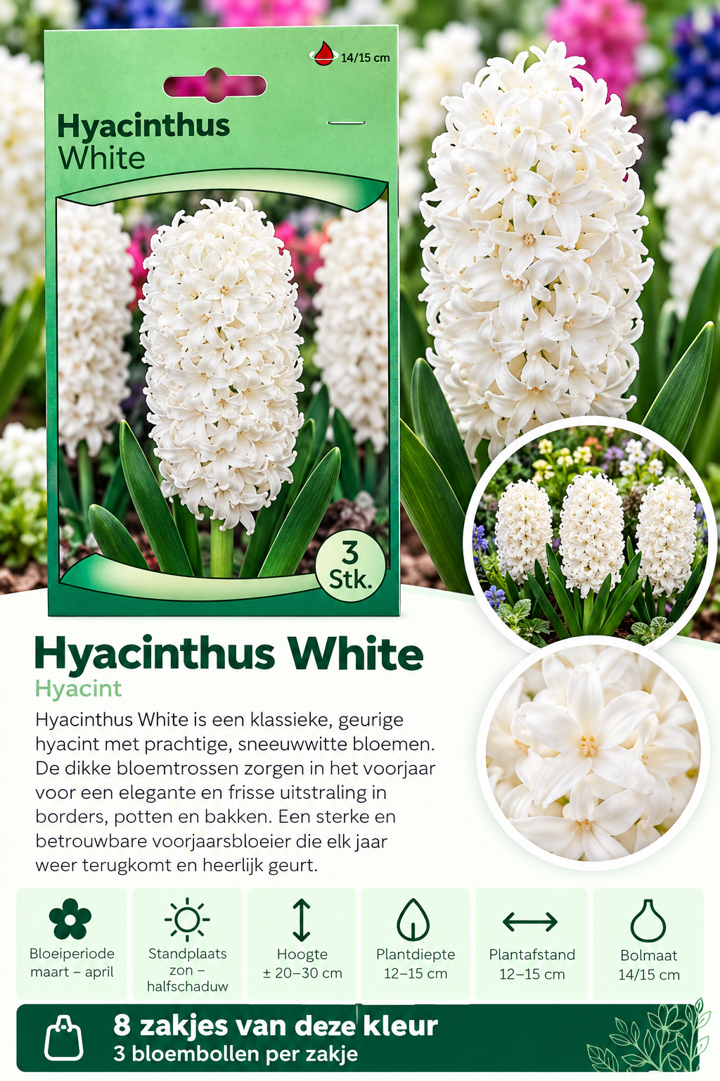 Hyacint White – 3 stuks