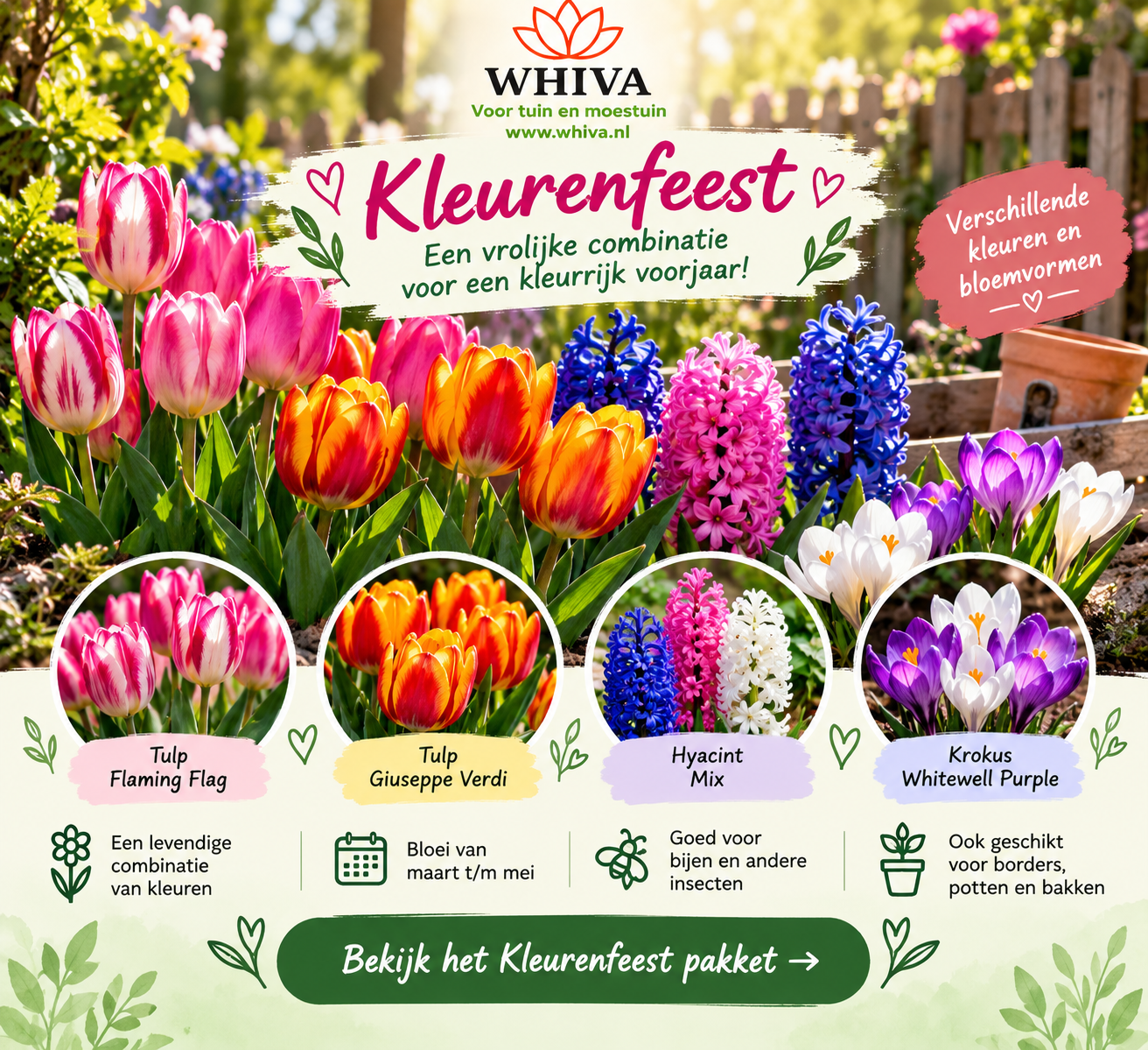 Kleurenfeest