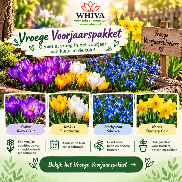 Vroege voorjaarspakket