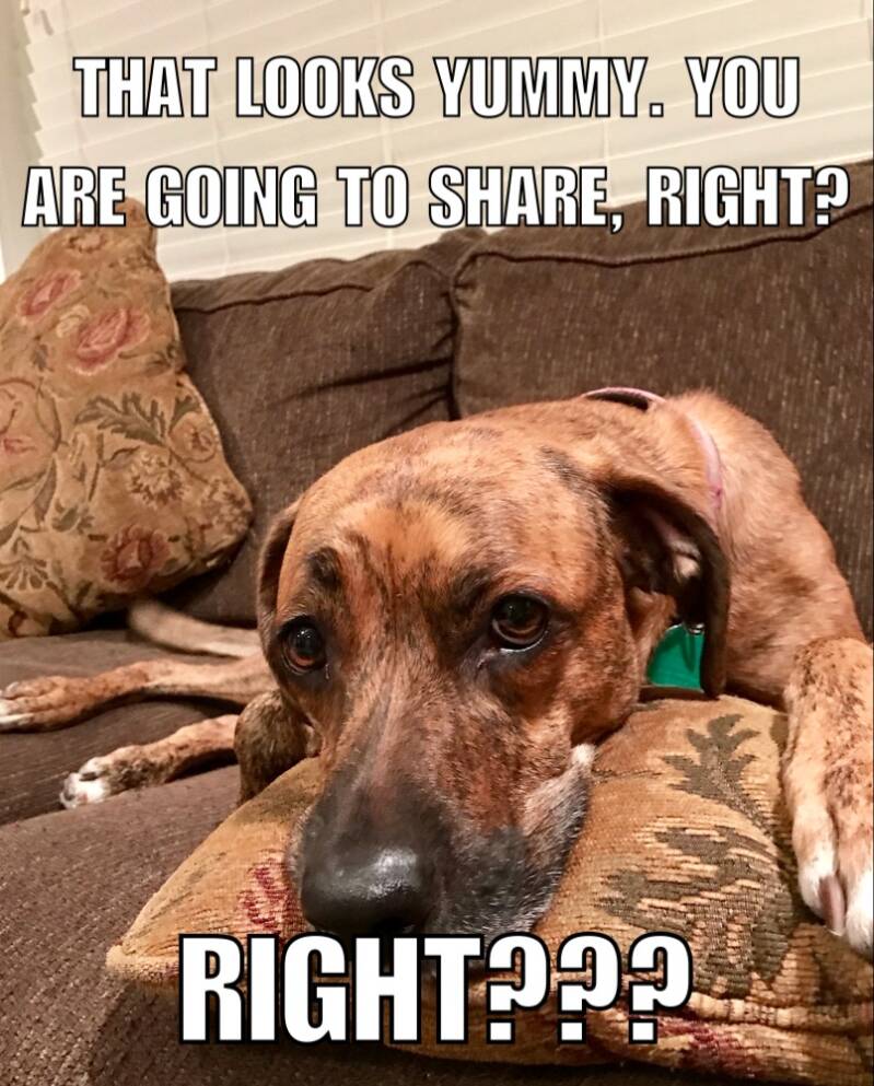 You Gonna Share?