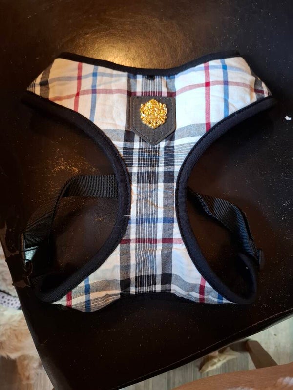 Puppia junior tuigje, bourberay L