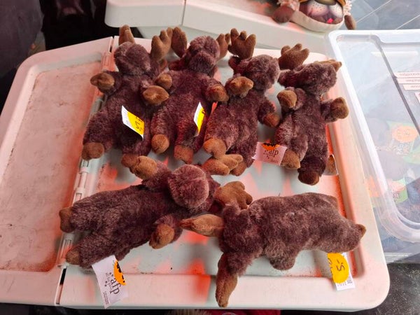 AFP eland