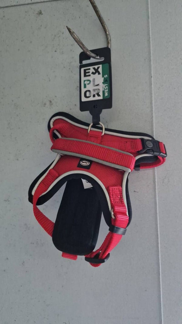 Explor West harnas, nylon rood