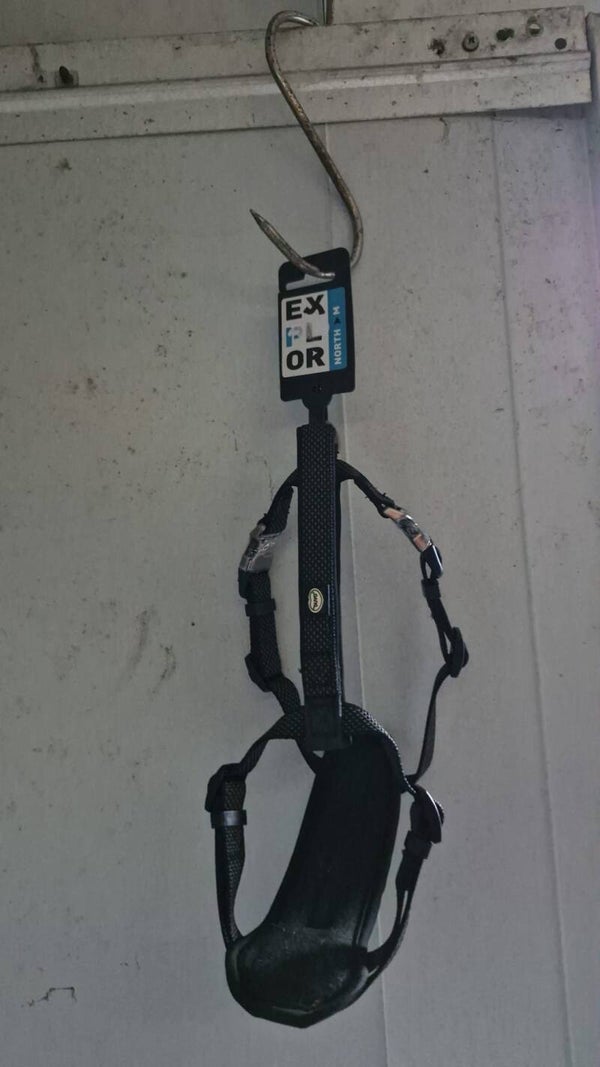 Explor North harnas, nylon zwart