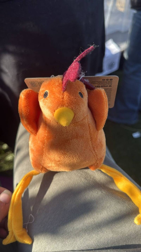 Martin pluchen haan of kip