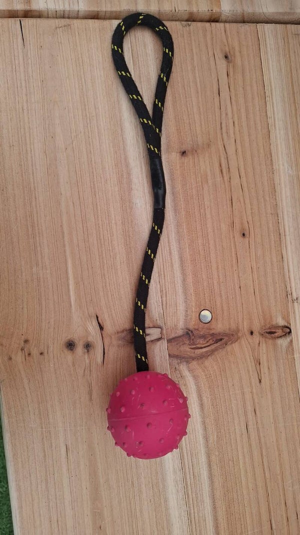 Roze bal stevig met touw
