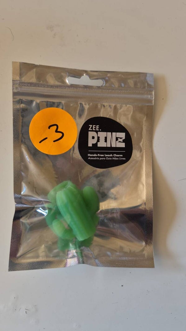 Zee.pinz Cactus