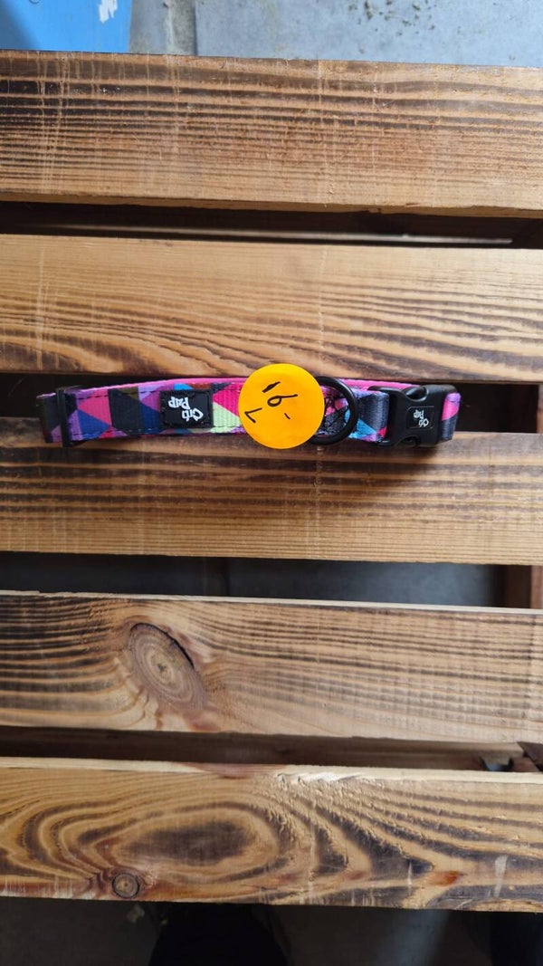 Citi Pup halsband L