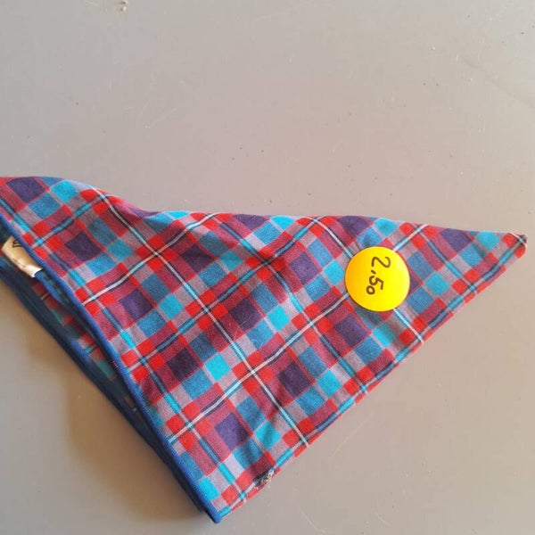 Bandana ruit