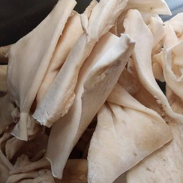 Runder kophuid wit 5 stuks voor de prijs van 4 OP = OP