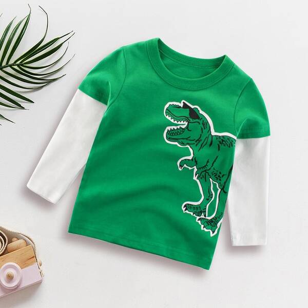 Boys Dino Top