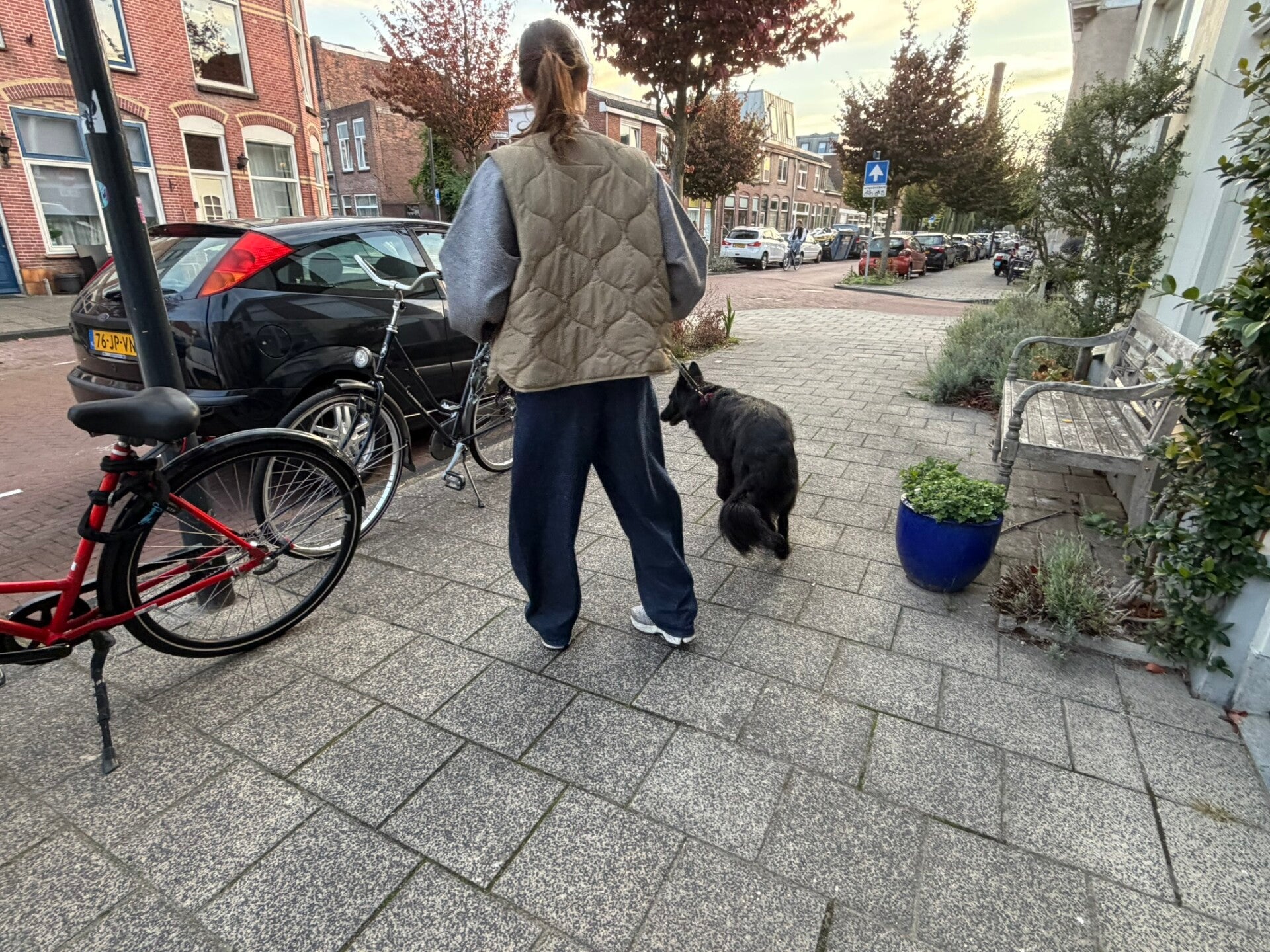 Privéles hondentraining bij jou thuis in Leiden