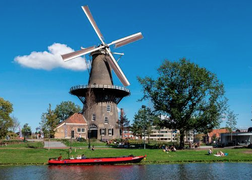 Molen de Valk in Leiden, plek voor hondentraining