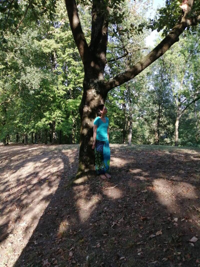 albero-standard-bbq6jp.jpg