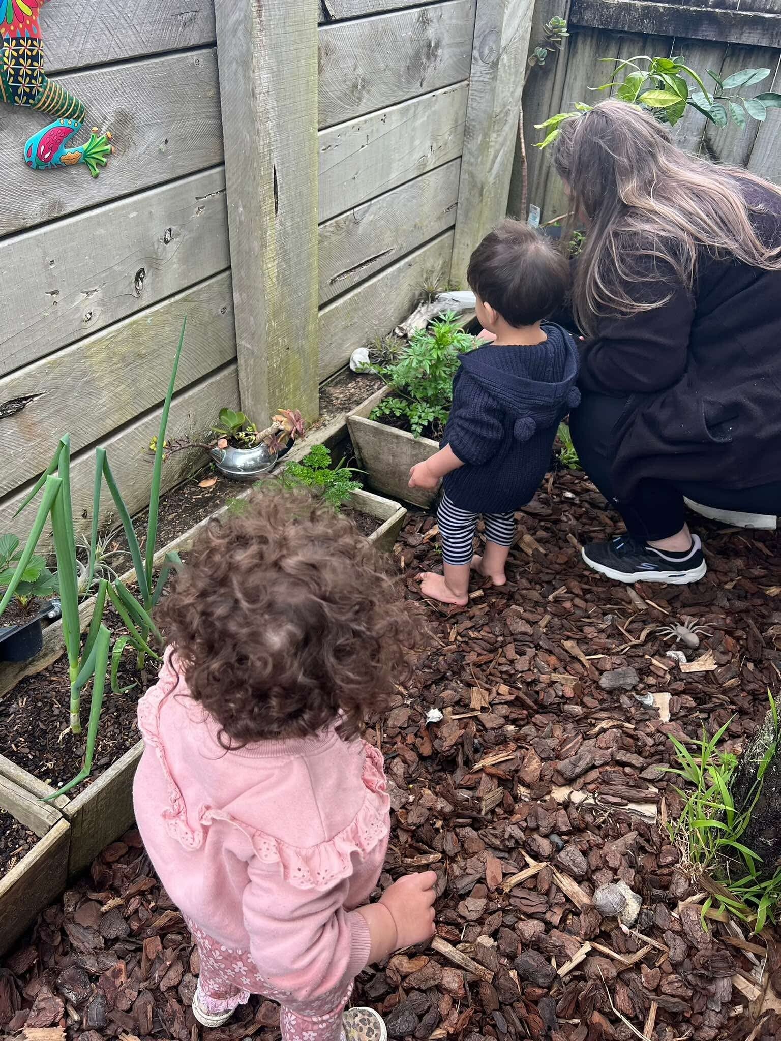 Children gardening and learning about nature at KCC in Howick