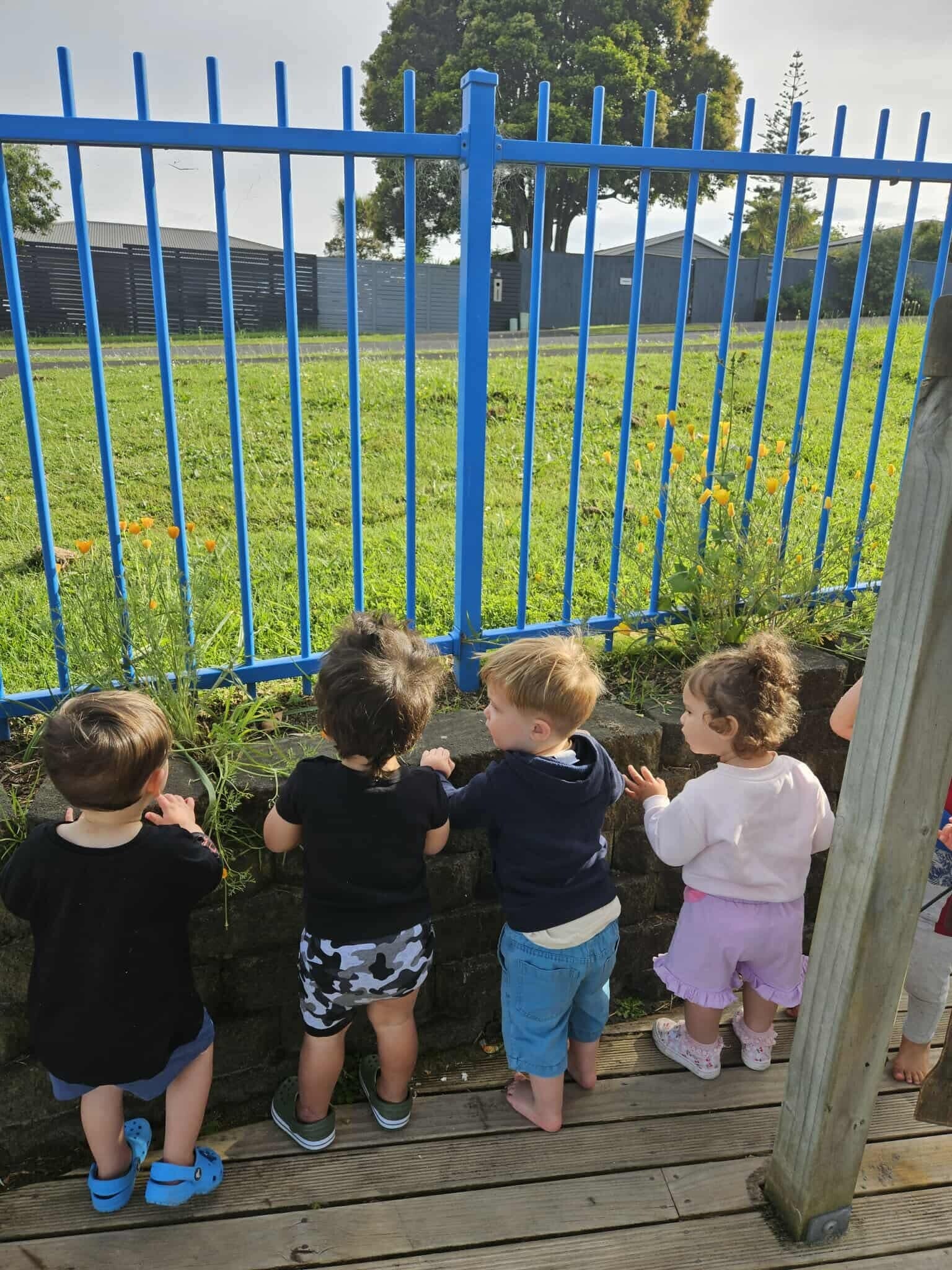 Babies exploring a play-based learning environment at KCC Howick