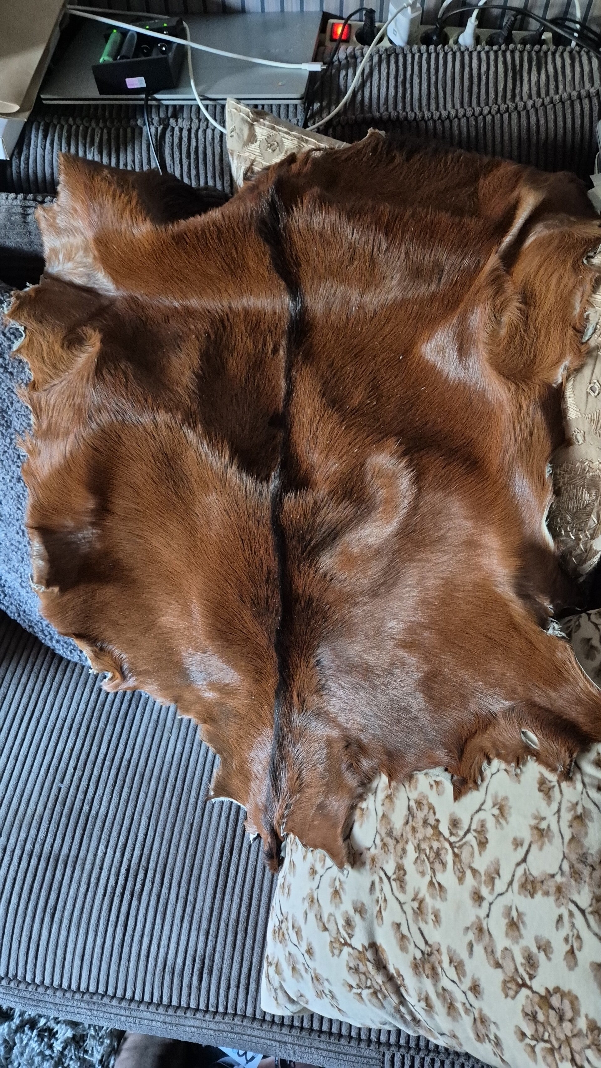 Geitenhuid bruin met zwarte streep