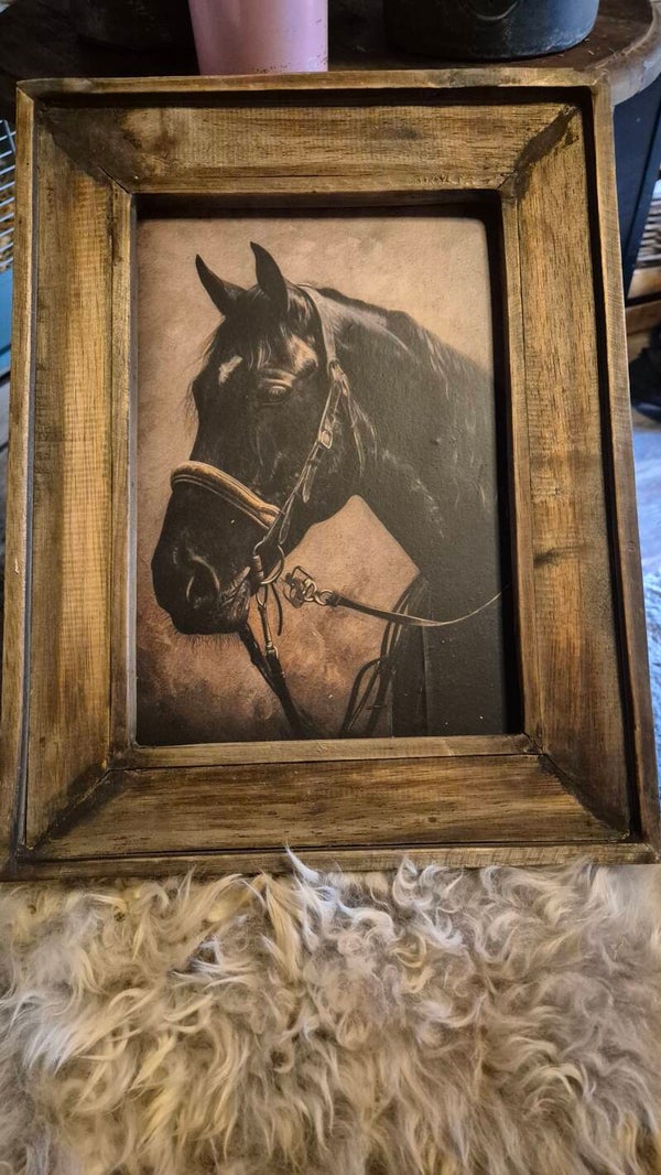 Schilderij paard