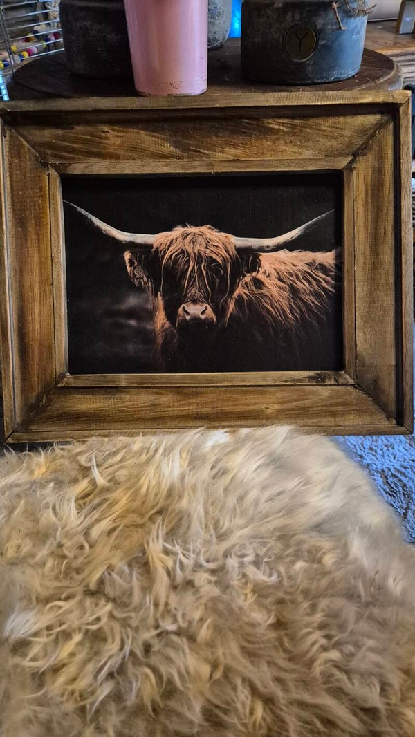 Schilderij hooglander