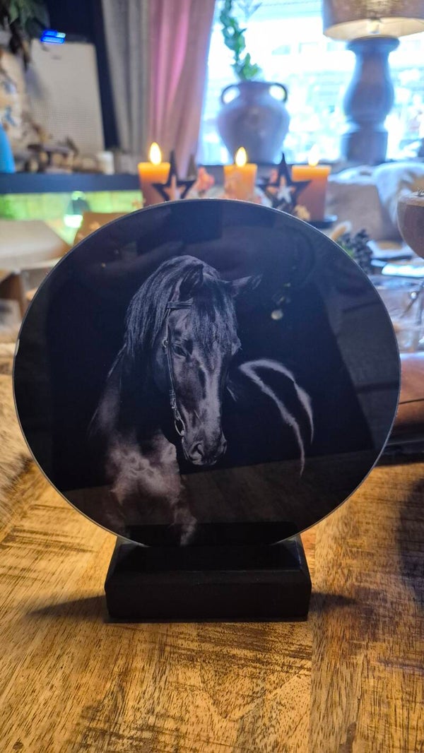 Rond glasschilderij met houder