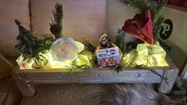 Bloemenplateau met amaryllis