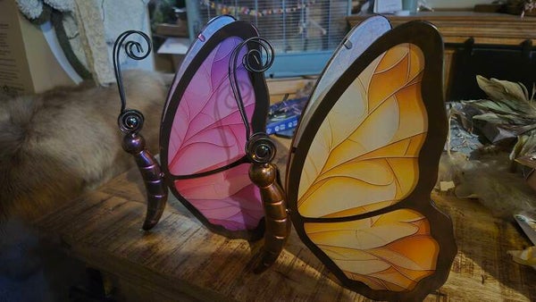 Vlinders met glazen vleugels
