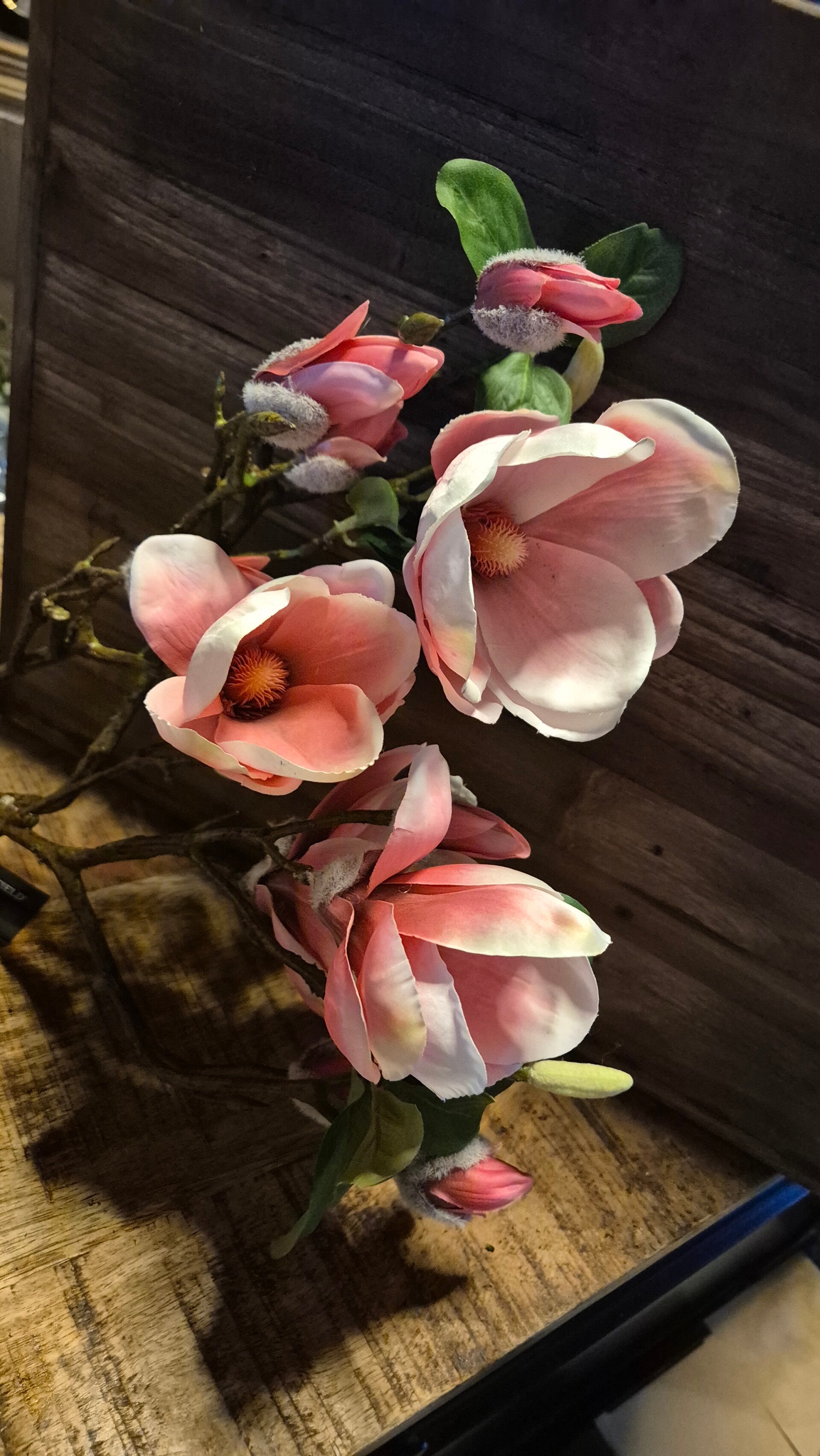 Countryfield Magnolia kunsttakken