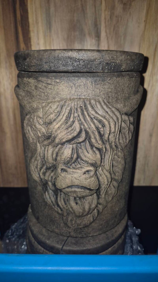 Brynxz Pot and Top  Majestic Brown M