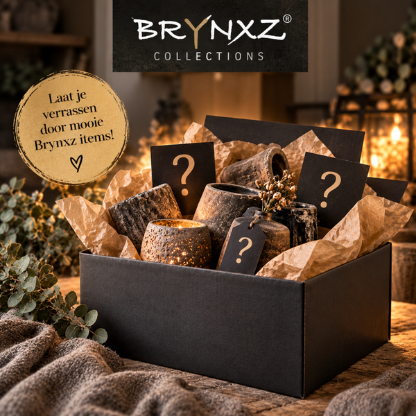 Brynxz mysteriebox bruin