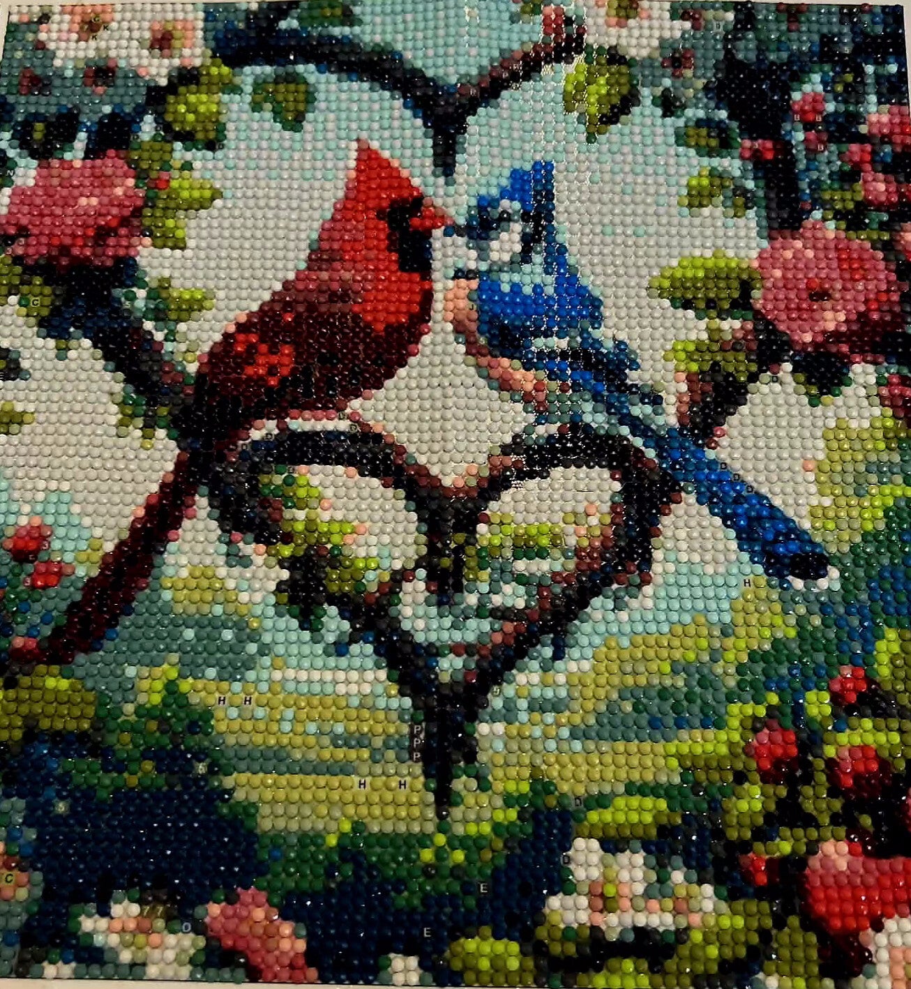 Blue & Red Birds