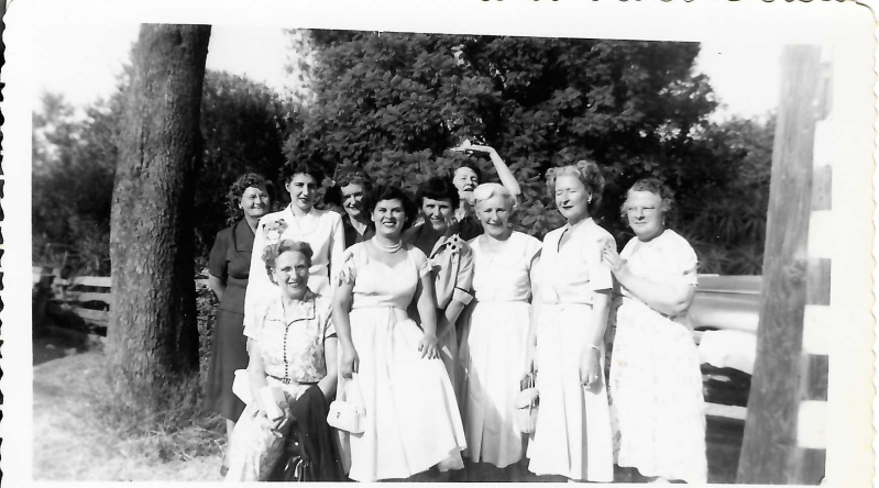 scan_20260309-17-standard-g0o5z7.png