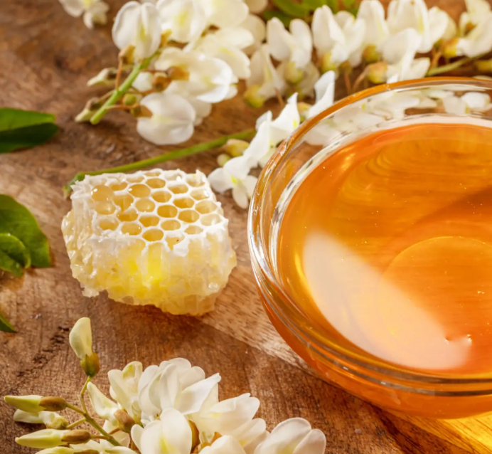 Acacia Honey — Croatia