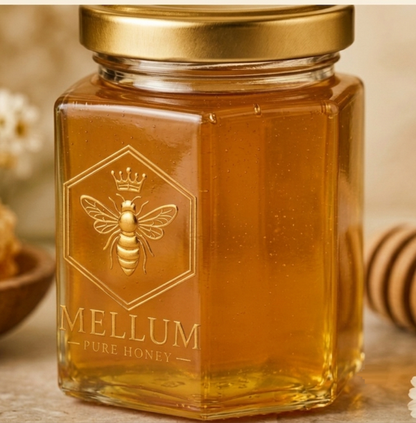 Acacia Honey — Italy
