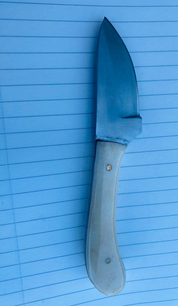 Mini Pocket Knife with Bone Handle