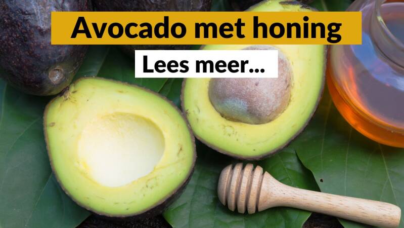 Avocado met honing - Pure Honey