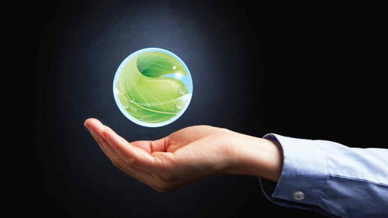 Propolis en duurzaamheid