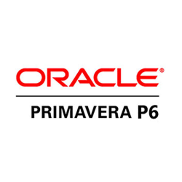Project Planning (Oracle Primavera P6)