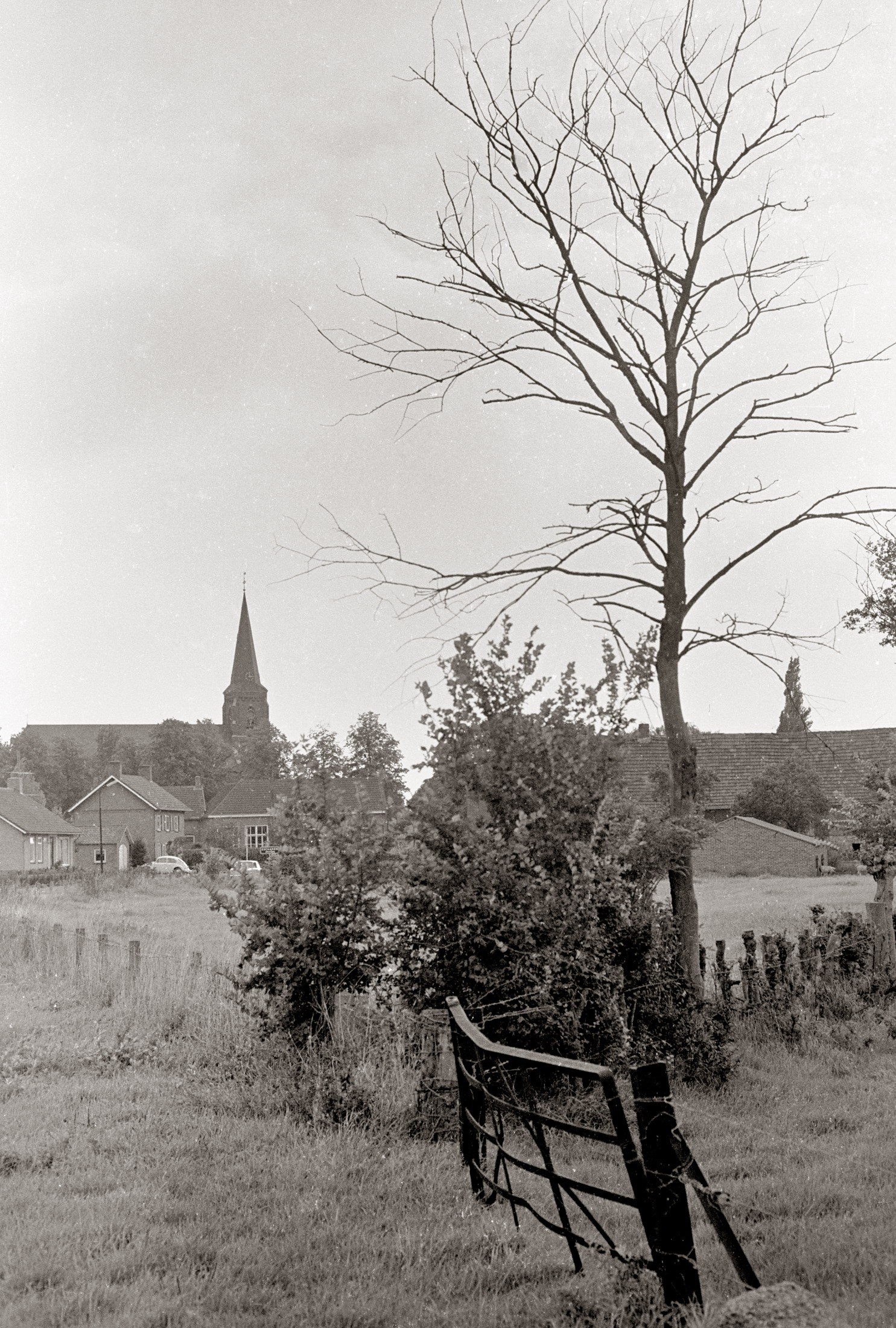 de Willem van Esterenweg  