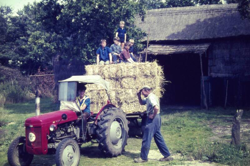 Grad van Haren aan het binnenhalen van het hooi